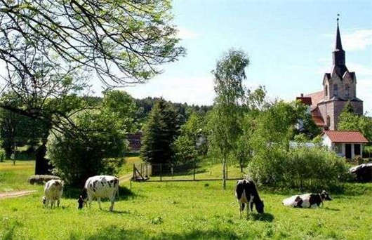 德國投資創業德人簽證申請條件極其優勢介紹