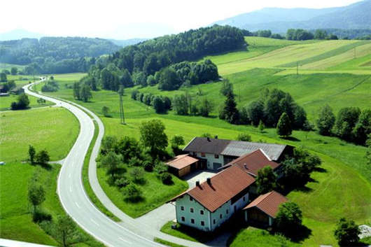 周末發(fā)生電動滑板車事故后再次受傷