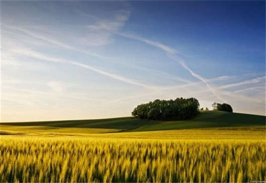 德國的個人醫療保險制度有必要訂購嗎？