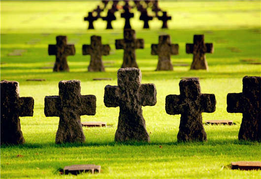 德國醫療保健系統 德國醫療保健系統