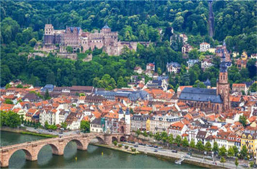 德國CDU漢堡介紹了公民選舉，每間公寓一棵樹