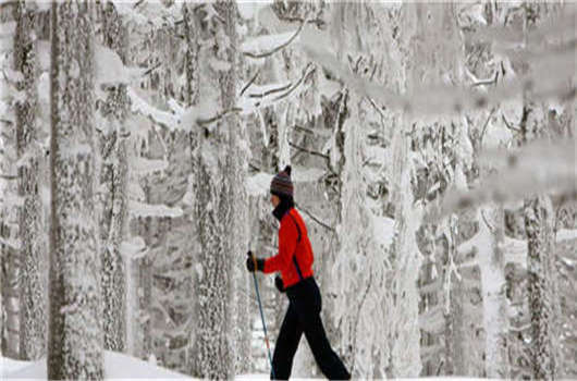 留學德國畢業難，解決這些您就可以成功！