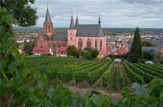 入籍優劣對比，您一定要了解一下！