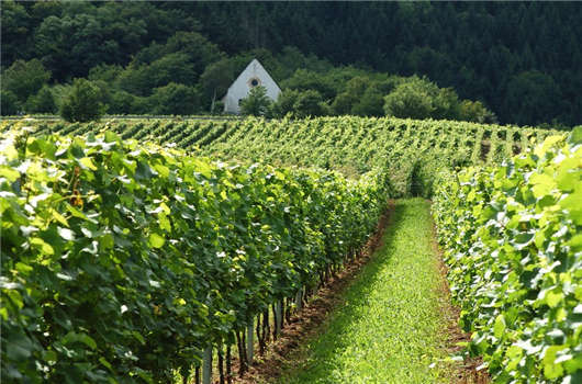 德國企業稅收您有必要了解一下！