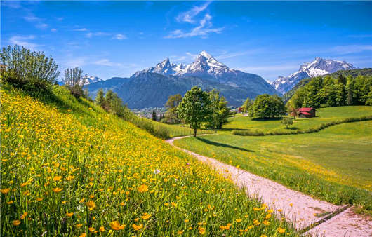 2020年3月1日新德國移民政策開始實行，什么專業(yè)最受歡迎那？