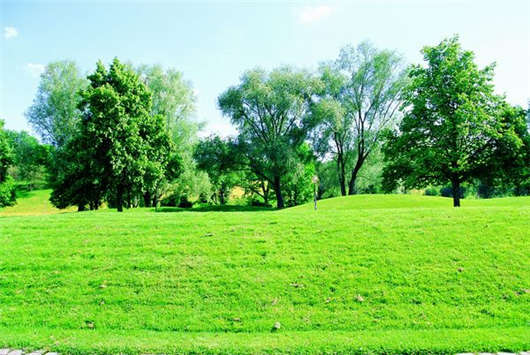 德國移民入籍指南，條件及相關文件介紹！