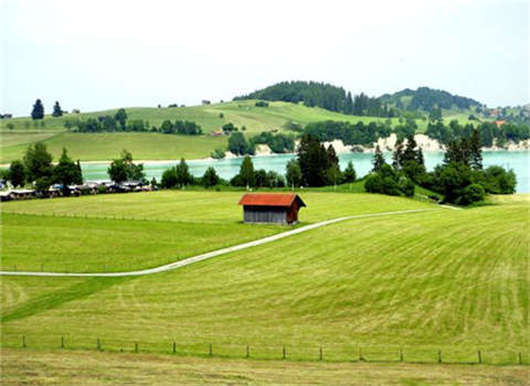 德國移民方式之德國結婚移民介紹