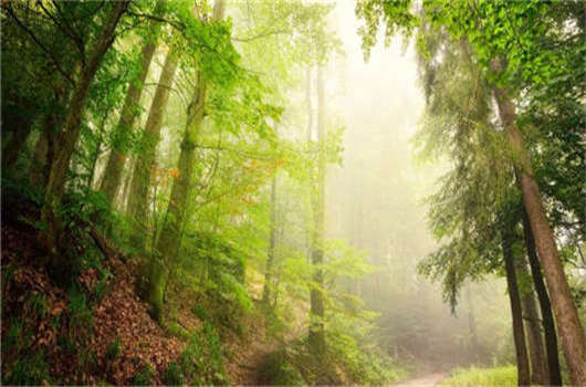 德國移民入籍條件介紹，該如何申請德國永居那？