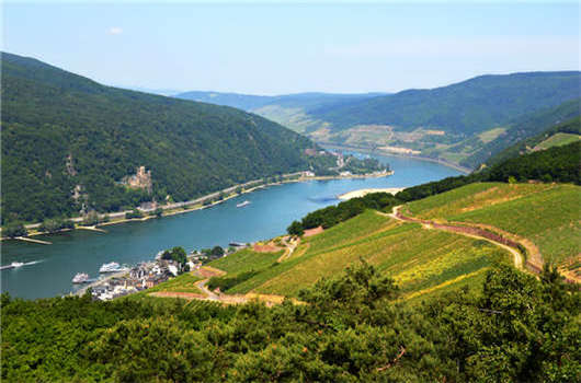 2020年德國技術移民法案常見問題解答！