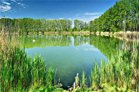 辦理德國移民，移民德國哪個城市最好？